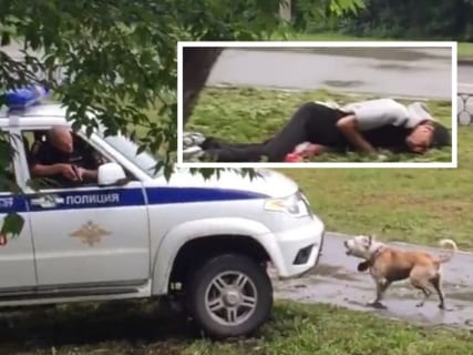 【衝撃映像】”超狂暴犬” を散歩中の男 ⇒ 酔っ払って街中で寝た結果・・・犬が・・・