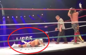 動画 プロレスラーが死んだ試合の映像なんだけど どれが致命傷だったのか分かる アダルトか普通かどっち ｗ