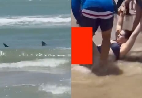 【閲覧注意】海水浴場で女性がサメに足を食い千切られる！これ、”今日” 撮影された映像だぞ・・・