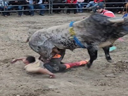 【閲覧注意】闘牛士、背骨を真っ二つに折られ死亡・・・（動画あり）