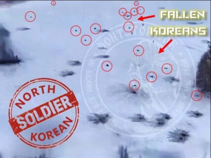 【閲覧注意】ウクライナの戦場に突撃した北朝鮮兵士30人、ガチでゲームみたいに殺されてく動画がヤバすぎる