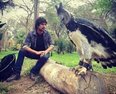 【衝撃映像】世界最強の鳥、とんでもない生物を殺してしまう・・・（動画あり）