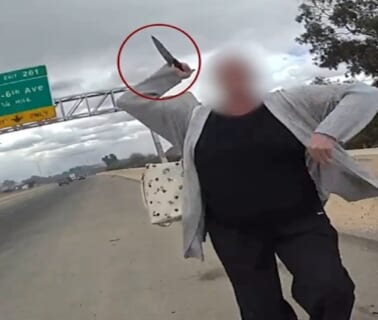【閲覧注意】高速道路を歩いてたキチガイ女さん、ヤバすぎる死に方してしまう（動画あり）